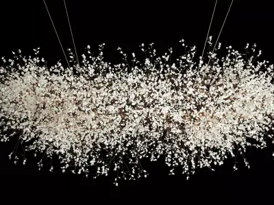 Hanging Installation Bouquet Dried Flowers Lunaria branches 568 3D model