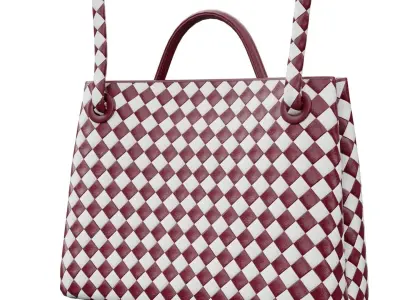 Veneta Medium Andiamo Bag Low-poly 3D model