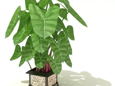 Pot Plant With Container 3D model