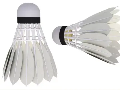 Badminton Collection 3D model