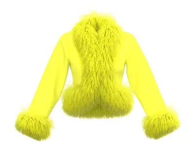 Feather jacket 3D model