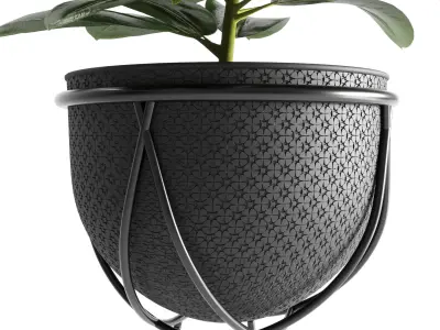 collection Indoor plant 41-metal vase Low-poly 3D model