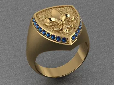 Lily Ring  3D print model