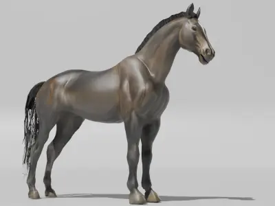 Realistic Muscular Horse Low-poly 3D model