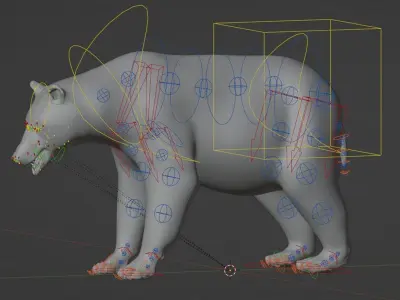 Marsican Bear Animated 3D model