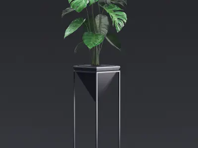 Cheese Plant III 3D model