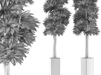 Plants Collection 102 3D model