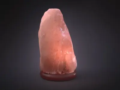 Himalayan Salt Lamp 3D model