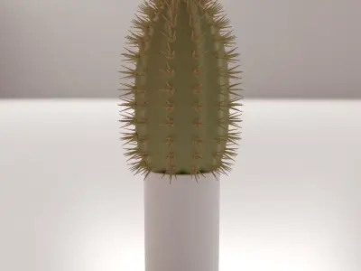 Cactus with spikes in pot 3D model