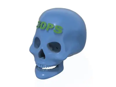 Logotip on Human Skull 3D print model