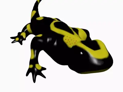 Salamander Model lizard Low-poly 3D model