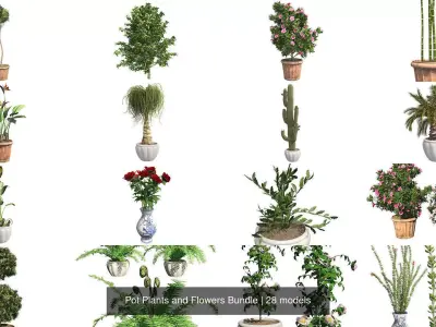 Pot Plants and Flowers Bundle 3D Model Collection