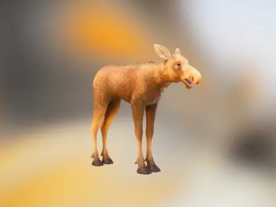 Realistic Moose Low-poly 3D model