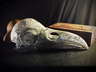 Filigree Anatomical Raven Skull - Pre-supported STL 3D print model