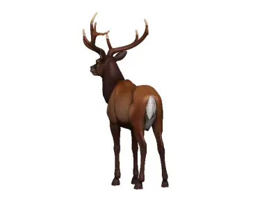 Elk-Elk Low-poly 3D model