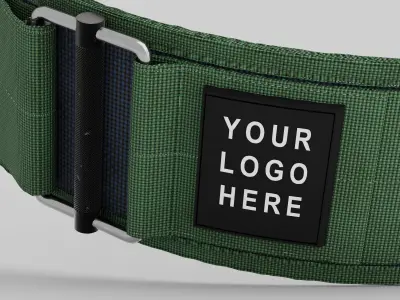 Lever belt lifting belt for gym 3D model