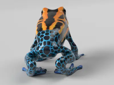 Poison Dart Frog 3D model