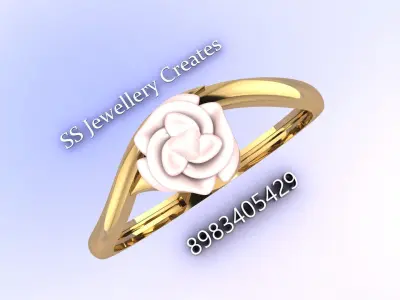Plan-Rings-Description Check 3D print model