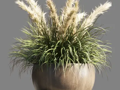outdoor indoor pot palnt grass the dry pampas stand vase wooden 3D model