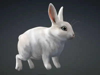 Rabbit-A2 3D model