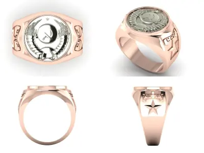 Ring od 17 3D print model