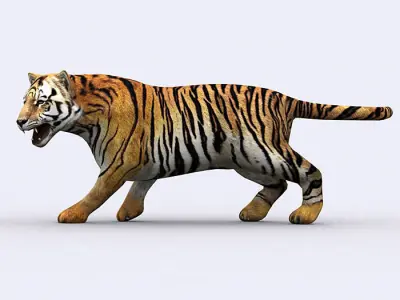 3DRT - Tiger Low-poly 3D model