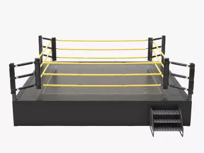 Wrestling Ring REGULATION SIZE 3D model