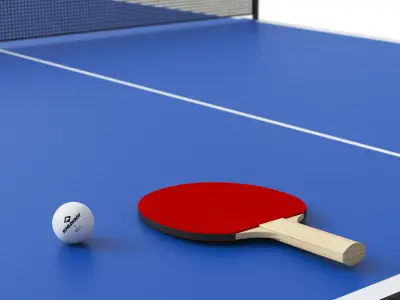 Ping Pong Table 3D model