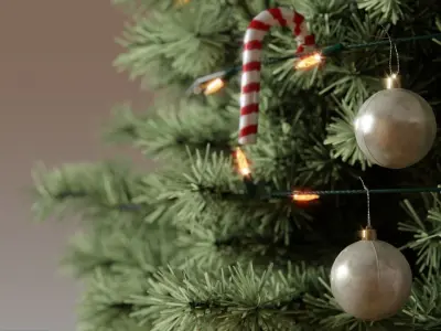 Christmas Tree 3d Model 3D model