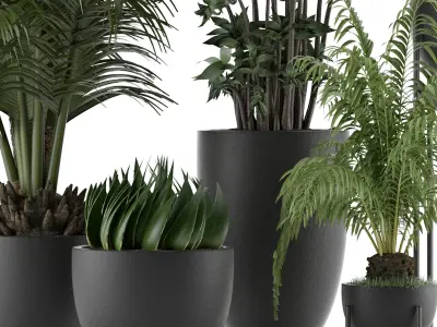 Plants Collection 24 3D model