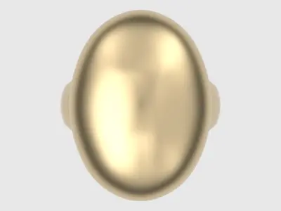 Signet Training Ring JDBCo 3D print model