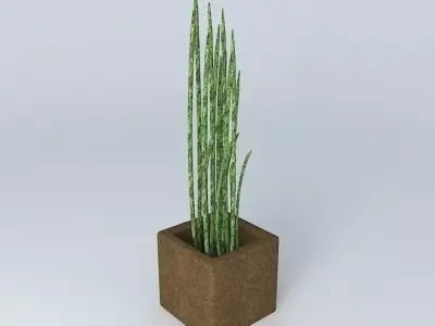 Little plant - Mini Vase Free 3D model