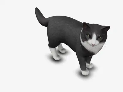 Cat Norwegian forest 3D model