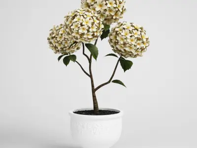 CGAxis models volume 6 FLOWERS 3D model