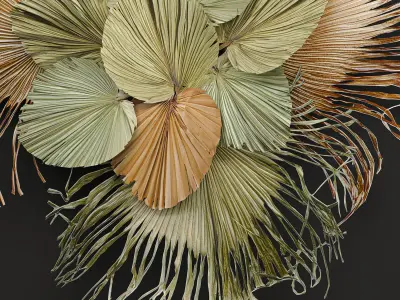 Wall decorations made of dry palm leaves 229 3D model