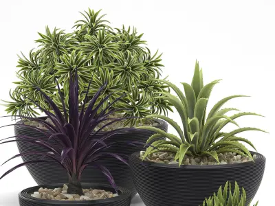 plants set 2 group of pots 3D model