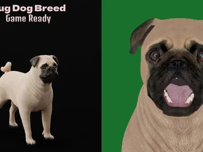 Pug Dog Breed Low-poly 3D model