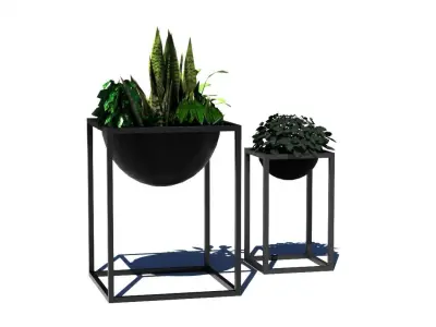 Decorative plants Low-poly 3D model