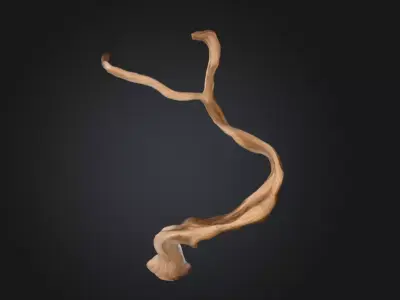 Twisting Elegance Wood Low-poly 3D model