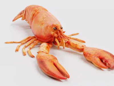 Cooked Lobster - Realistic Crustacean Homarus Americanus 3D model