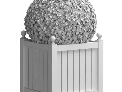 Boxwood in a wooden Garden Patio Planter 3D model