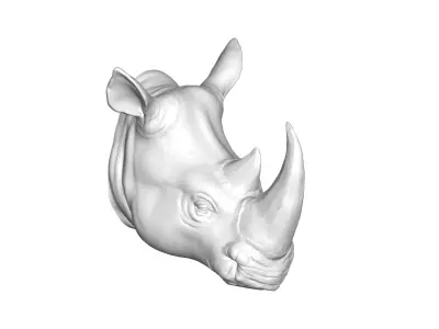 Rhino head 3D model