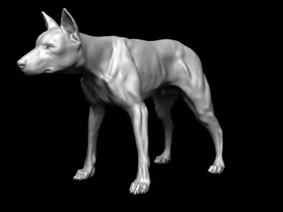 Dog Model 3D model buy