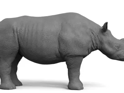 High Res Rhino 3D model