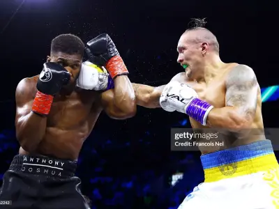 Usyk vs Joshua Boxing Match 3D print model