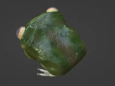 frog low poly Low-poly 3D model buy