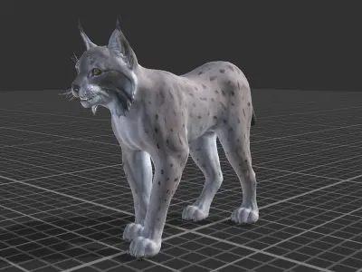 Bobcat  Low-poly 3D model