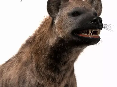 Hyena For Production 3D model