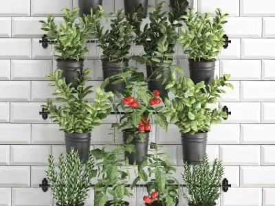 Decorative plants for the kitchen on railing 3802 3D model