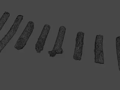 Scanned Branches Low-poly 3D model